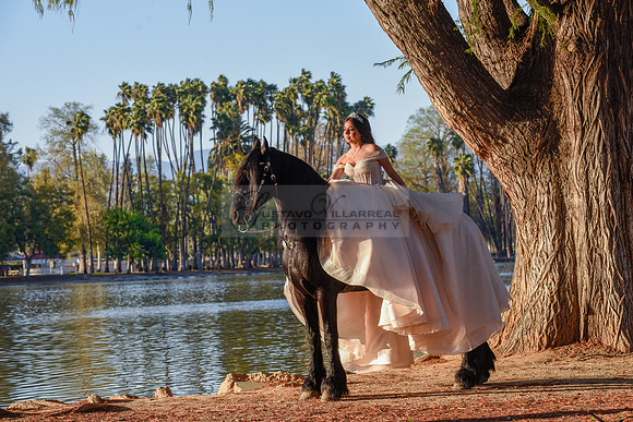 Quinceanera photoshoot at Rose Garden in Riverside Ca. Sesion de fotos en caballos, Gustavo Villarreal Photography, 323-633-8283