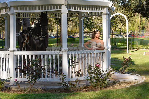 Quinceanera photoshoot at Rose Garden in Riverside Ca. Sesion de fotos en caballos, Gustavo Villarreal Photography, 323-633-8283
