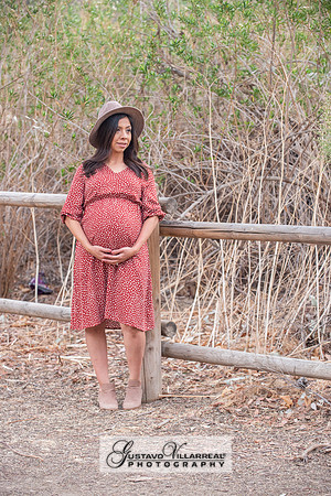 Nancy and Jack Maternity photos at Carbon Canyon Regional Park i