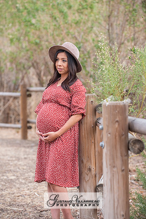 Nancy and Jack Maternity photos at Carbon Canyon Regional Park i