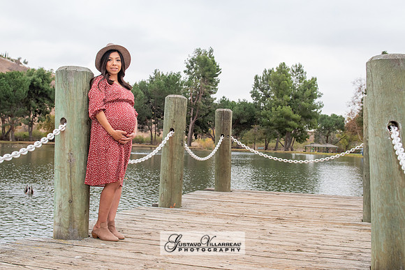 Nancy and Jack Maternity photos at Carbon Canyon Regional Park i