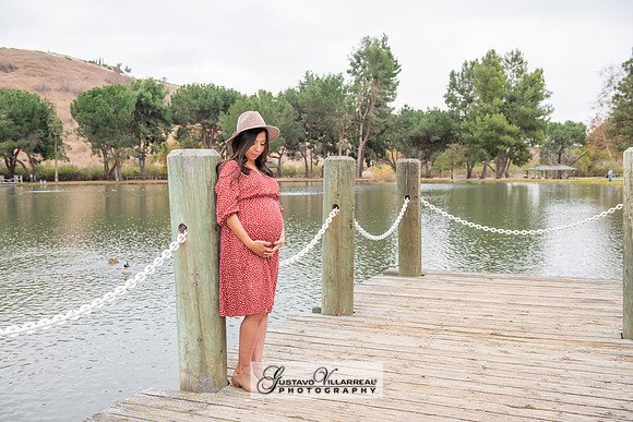 Nancy and Jack Maternity photos at Carbon Canyon Regional Park i