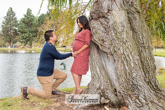 Nancy and Jack Maternity photos at Carbon Canyon Regional Park i