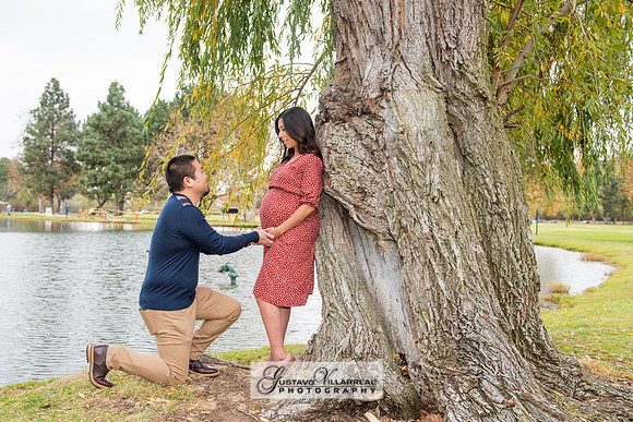 Nancy and Jack Maternity photos at Carbon Canyon Regional Park i