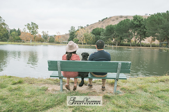 Nancy and Jack Maternity photos at Carbon Canyon Regional Park i