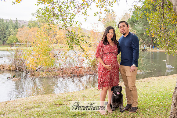 Nancy and Jack Maternity photos at Carbon Canyon Regional Park i