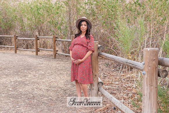 Nancy and Jack Maternity photos at Carbon Canyon Regional Park i