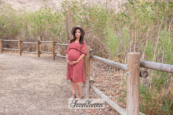 Nancy and Jack Maternity photos at Carbon Canyon Regional Park i