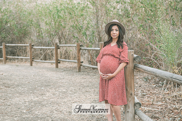 Nancy and Jack Maternity photos at Carbon Canyon Regional Park i