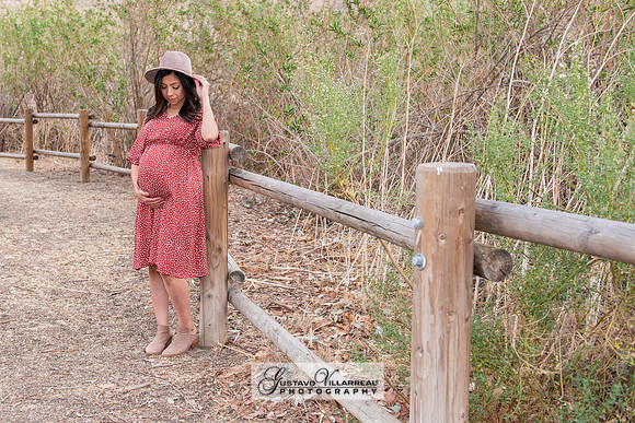 Nancy and Jack Maternity photos at Carbon Canyon Regional Park i