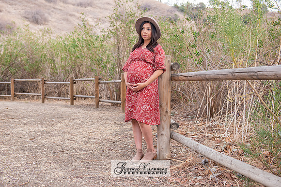 Nancy and Jack Maternity photos at Carbon Canyon Regional Park i