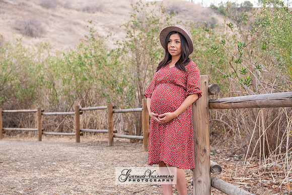 Nancy and Jack Maternity photos at Carbon Canyon Regional Park i
