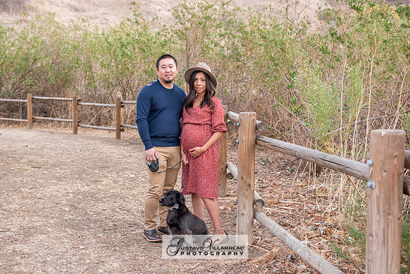 Nancy and Jack Maternity photos at Carbon Canyon Regional Park i