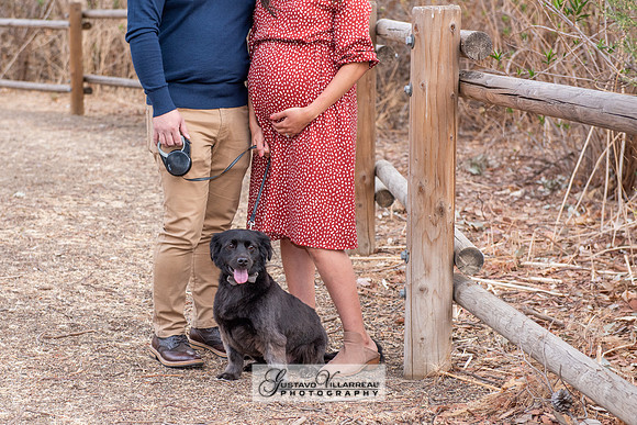 Nancy and Jack Maternity photos at Carbon Canyon Regional Park i