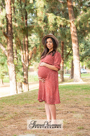 Nancy and Jack Maternity photos at Carbon Canyon Regional Park i