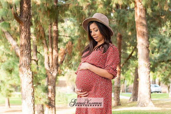 Nancy and Jack Maternity photos at Carbon Canyon Regional Park i
