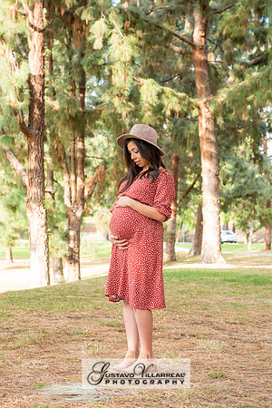 Nancy and Jack Maternity photos at Carbon Canyon Regional Park i