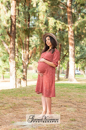 Nancy and Jack Maternity photos at Carbon Canyon Regional Park i