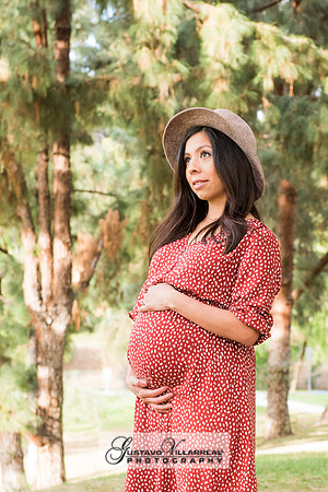 Nancy and Jack Maternity photos at Carbon Canyon Regional Park i