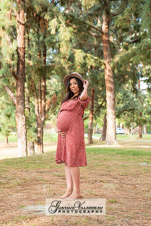Nancy and Jack Maternity photos at Carbon Canyon Regional Park i