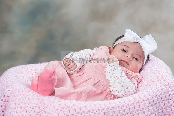 Baby girl studio photo session, maternity photos, family photos