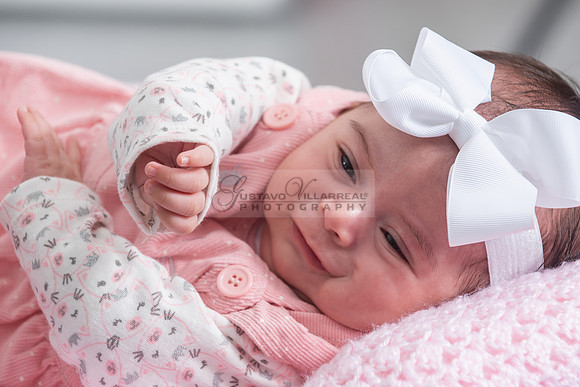 Baby girl studio photo session, maternity photos, family photos