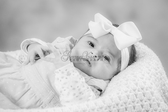 Baby girl studio photo session, maternity photos, family photos