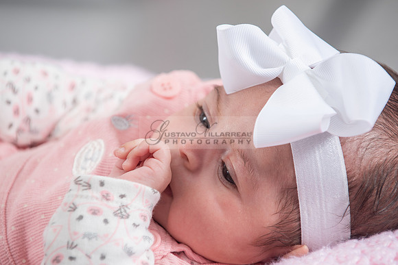 Baby girl studio photo session, maternity photos, family photos
