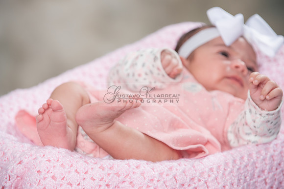 Baby girl studio photo session, maternity photos, family photos
