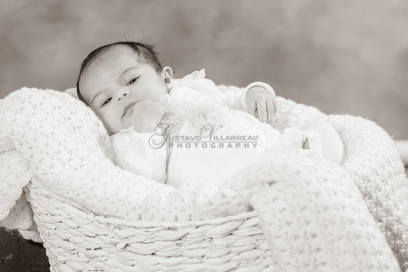 Baby girl studio photo session, maternity photos, family photos