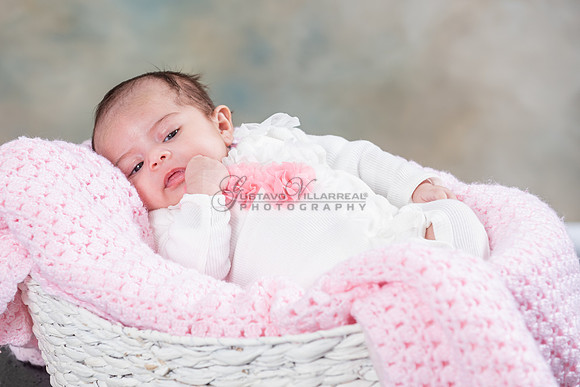 Baby girl studio photo session, maternity photos, family photos