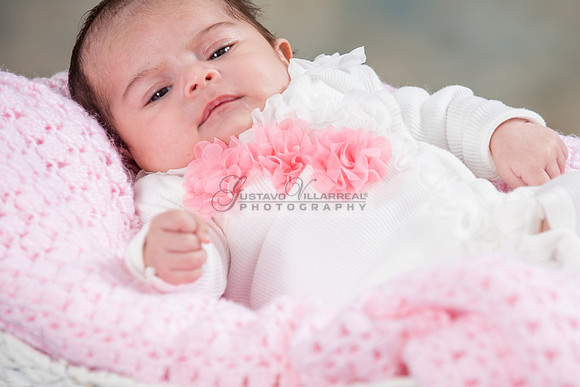 Baby girl studio photo session, maternity photos, family photos