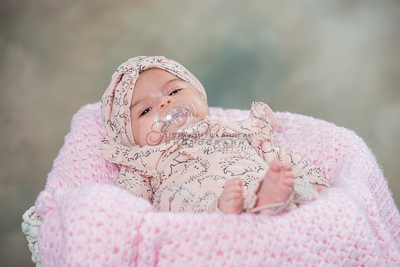 Baby girl studio photo session, maternity photos, family photos