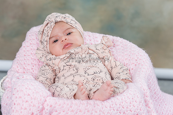 Baby girl studio photo session, maternity photos, family photos