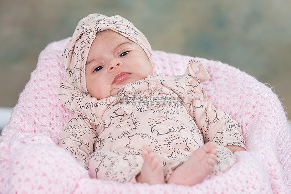 Baby girl studio photo session, maternity photos, family photos