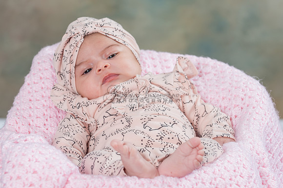 Baby girl studio photo session, maternity photos, family photos