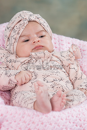 Baby girl studio photo session, maternity photos, family photos