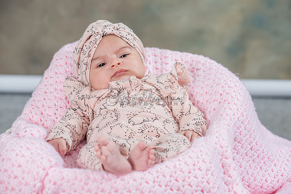Baby girl studio photo session, maternity photos, family photos