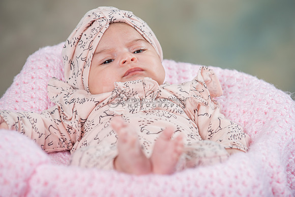 Baby girl studio photo session, maternity photos, family photos