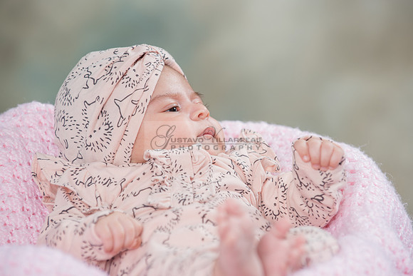 Baby girl studio photo session, maternity photos, family photos