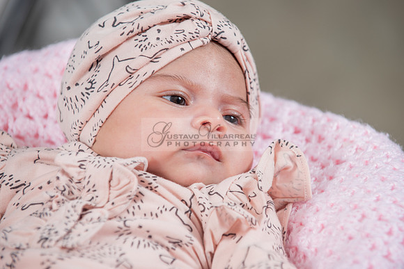 Baby girl studio photo session, maternity photos, family photos