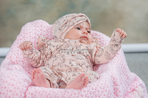 Baby girl studio photo session, maternity photos, family photos
