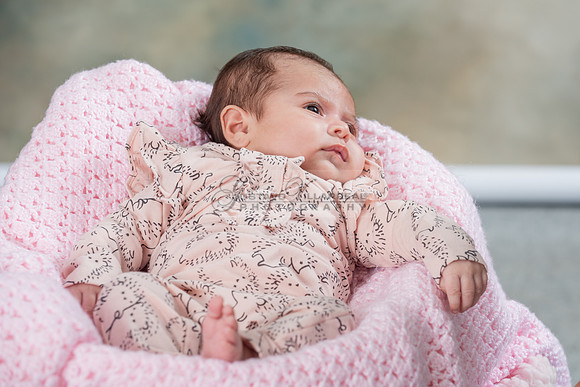 Baby girl studio photo session, maternity photos, family photos