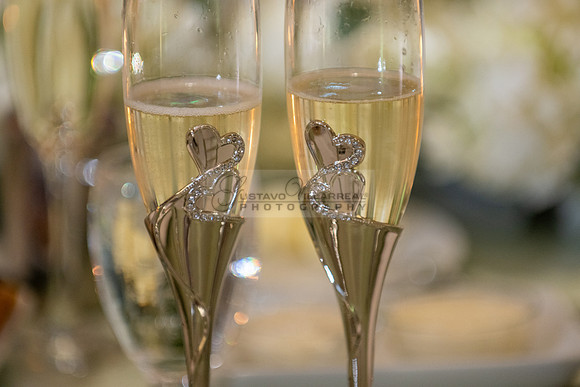 LINK-#1-Stephanie and Albert wedding photography, celebration at Sonesta Redondo Beach and Marina in Redondo Beach Ca, photographer, videographer, Gustavo Villarreal, 323-633-8283, www.gvphotoandvideo