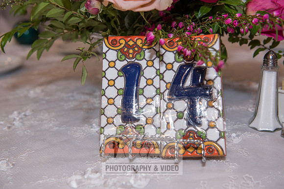 Reina and Adalberto wedding ceremony and reception, photographer