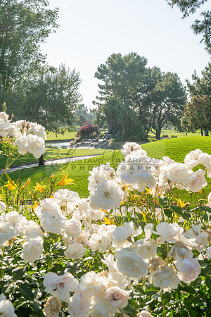 Alberto y Lourdes wedding celebration, photographer, videographer at Rio Hondo country Club in Downey Ca. Gustavo Villarreal photography, 323-633-8283, www.gvphotoandvideo.com