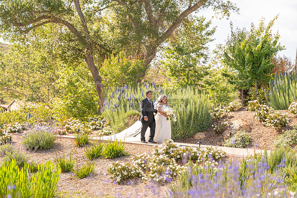 Gabriel and Daisy, LINK #1, wedding, celebration, reception, ceremony at Monserate Winery at Fallbrook Ca, Photography, videography, Gustavo Villarreal, 323-633-8283, www.gustavovillarreal.com