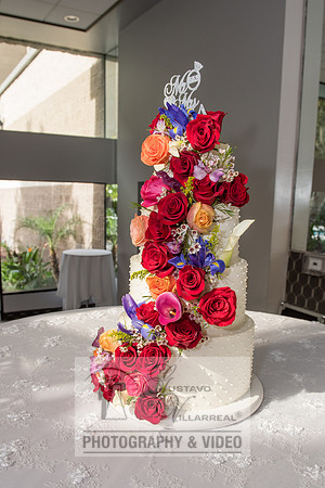 Reina and Adalberto wedding ceremony and reception, photographer