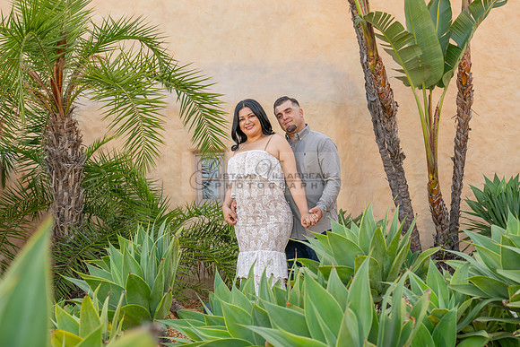 Jessica and Cory engagement photo session at Our Lady of Mount C