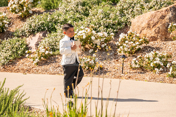 Gabriel and Daisy, LINK #1, wedding, celebration, reception, ceremony at Monserate Winery at Fallbrook Ca, Photography, videography, Gustavo Villarreal, 323-633-8283, www.gustavovillarreal.com